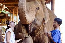 Специальное предложение от отеля Anantara Golden Triangle Elephant Camp & Resort