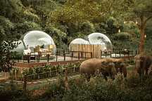 Jungle Bubble от Anantara Golden Triangle Elephant Camp & Resort